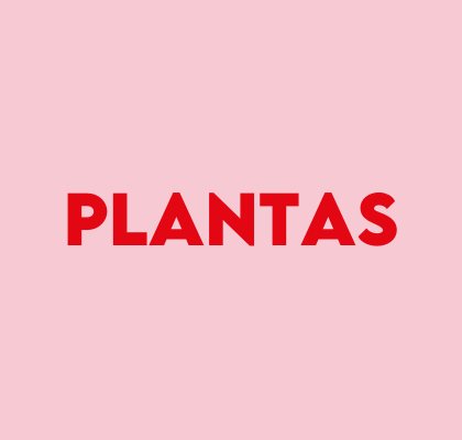 Plantas