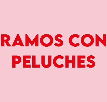 Ramos con peluches