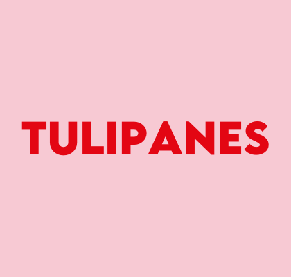 Tulipanes